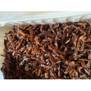 Lazacfilé szárított füstölt kb.100g