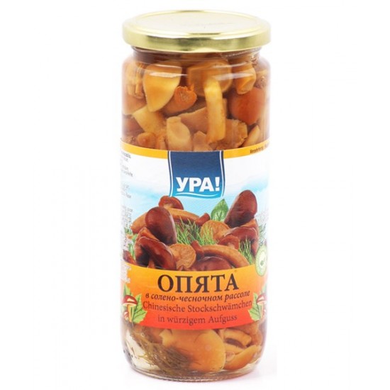 Грибы УРА опята 500ml