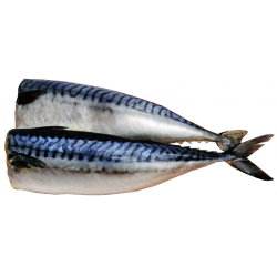 Скумбрия соленая РАЗВЕС