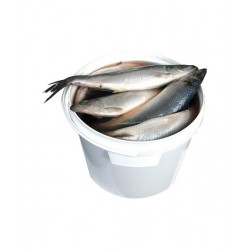 Селедка бочковая РАЗВЕС